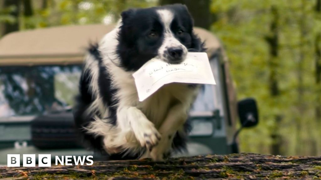 Weekly quiz: Which animal delivered the King's birthday card to Sir David Attenborough? - BBC