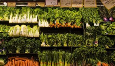 Experts say the right fuel can give you a big energy boost