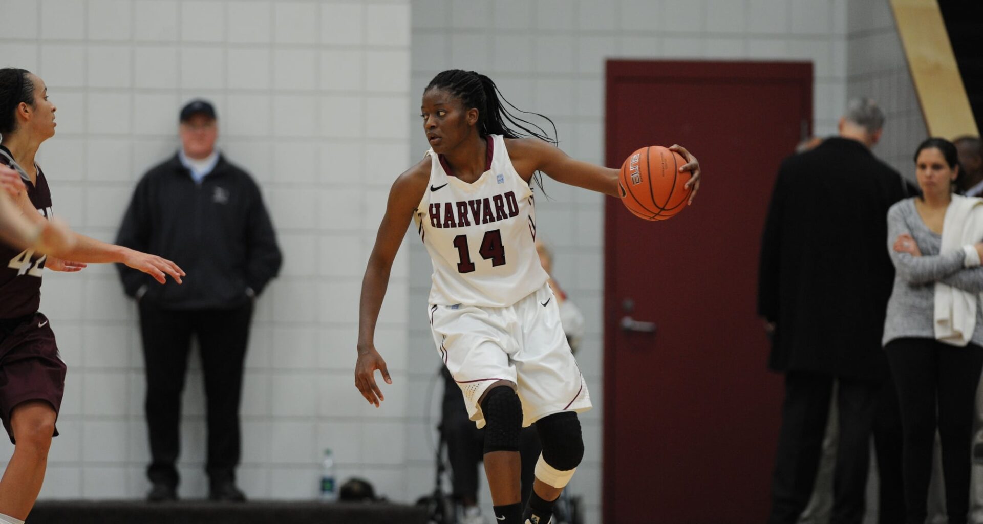 Harvard Alum Temi Fagbenle ’15 Embraces New Chapter with the WNBA’s Toronto Tempo | Sports