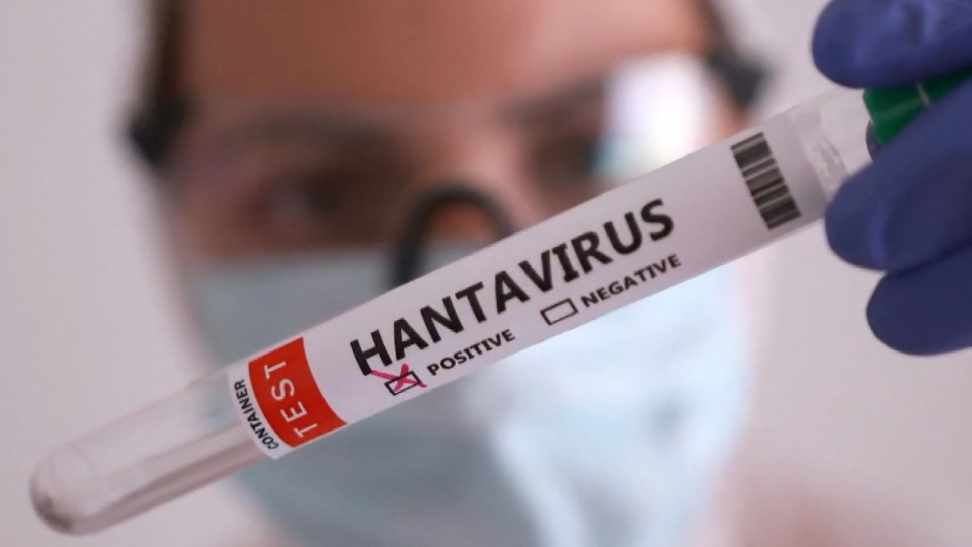 Click to play video: 'Cruise ship industry on alert after multiple virus outbreaks'