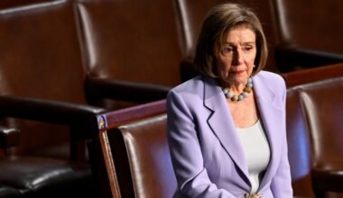 Nancy Pelosi endorses Connie Chan in high-profile race to succeed her