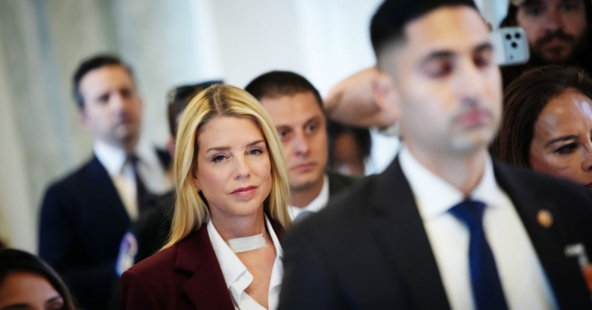 Pam Bondi tells lawmakers ‘redaction errors’ were made in Epstein files release