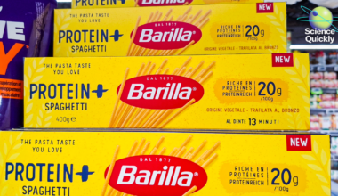 Do you need more protein? What science says about high-protein diets
