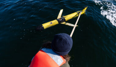 Can New Technology Help Save North Atlantic Right Whales?