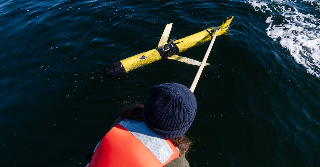 Can New Technology Help Save North Atlantic Right Whales?