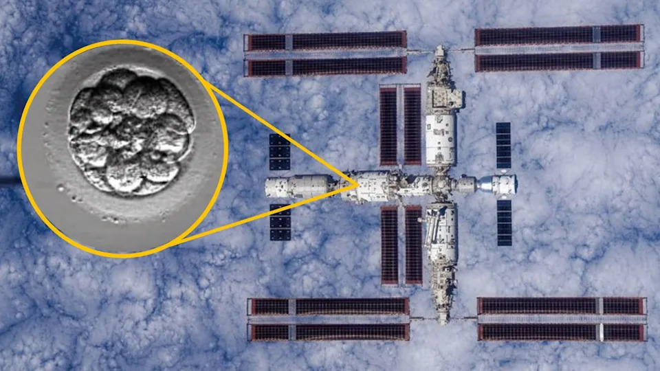A photo of the Tiangong Space Station orbiting Earth with an insert of a black and white microscope photo of a human embryo.