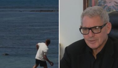 Defense attorney explains why rock was hurled at endangered monk seal