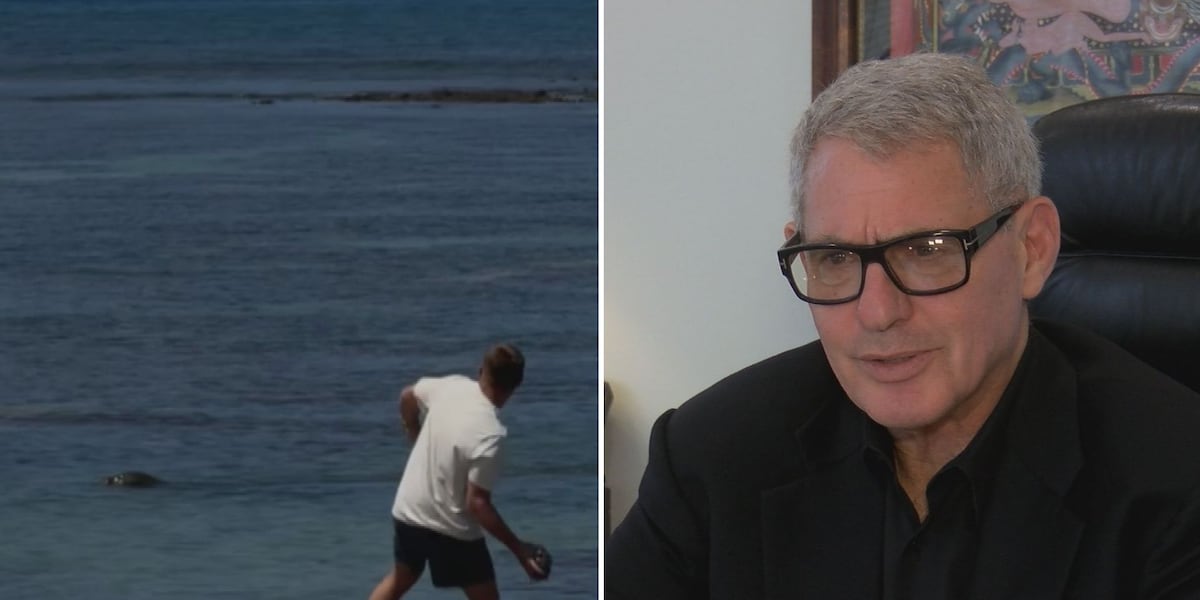 Defense attorney explains why rock was hurled at endangered monk seal