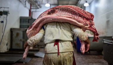 Argentina’s beef consumption falls to lowest level in 20 years as prices soar