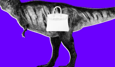 Scientists Say $600,000 Lab-Grown “T-Rex Leather” Handbag Is Actually Something Laughable