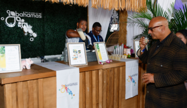 Bahamas-bound cruise ships to face temporary alcohol ban