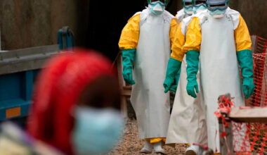 Ebola and hantavirus have Africa talking 'health sovereignty' as donor support fades