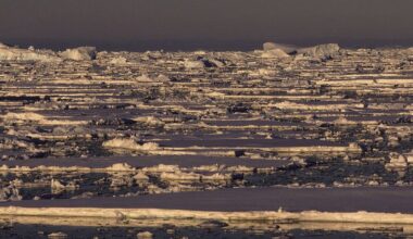 Sea ice in Antarctica under golden light.