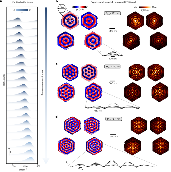 Fig. 3: Experimental observation of qBIC-driven photonic skyrmion lattices.