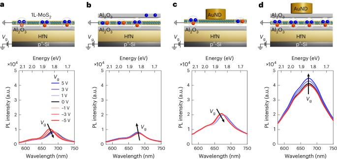 Fig. 3: Engineering surface passivation and plasmonic resonance to modulate and enhance the light–matter interaction in monolayer MoS2.