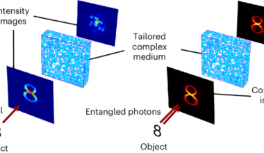 Entanglement-enabled image transmission through complex media