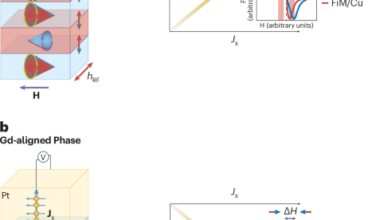 More spin flow with less dissipation