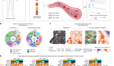Non-invasive profiling of the tumour microenvironment with spatial ecotypes