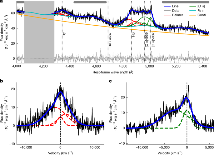 Extreme galaxy-scale outflows are frequent among luminous early quasars