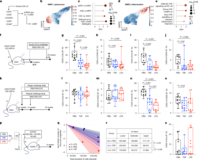 Human haematopoietic stem cells remember inflammatory stress