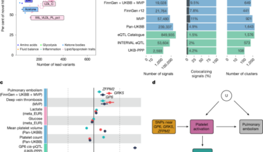 Genetic analysis of circulating metabolic traits in 619,372 individuals
