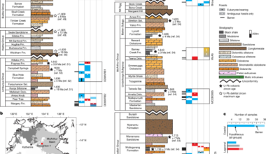 Early fossil eukaryotes were benthic aerobes