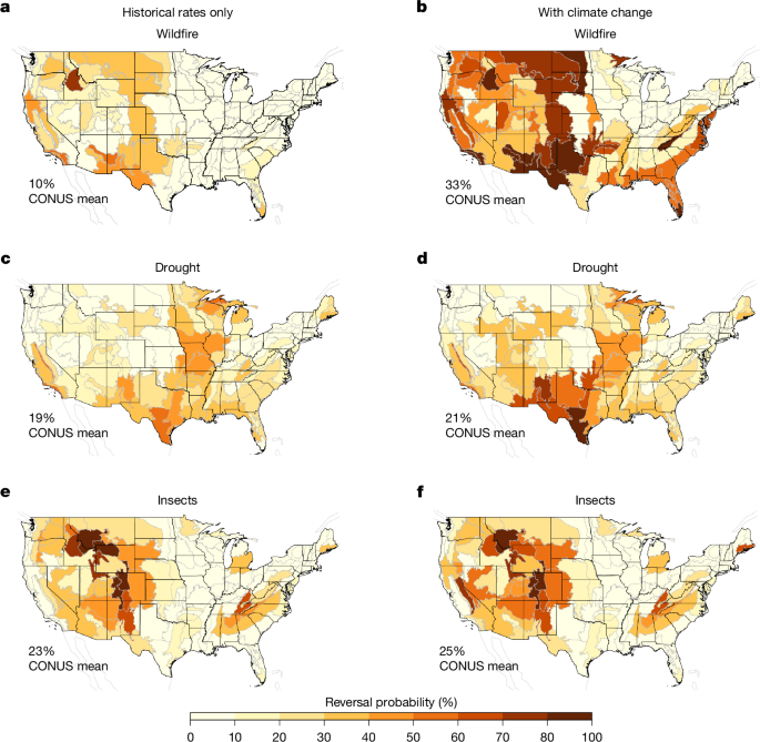 Forest carbon protocols underestimate climate-driven carbon loss risks