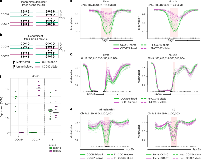 Fig. 4: Nondominant trans-acting meQTLs.