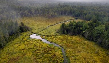 Maine environmental advocates call on state to turn climate goals into mandates