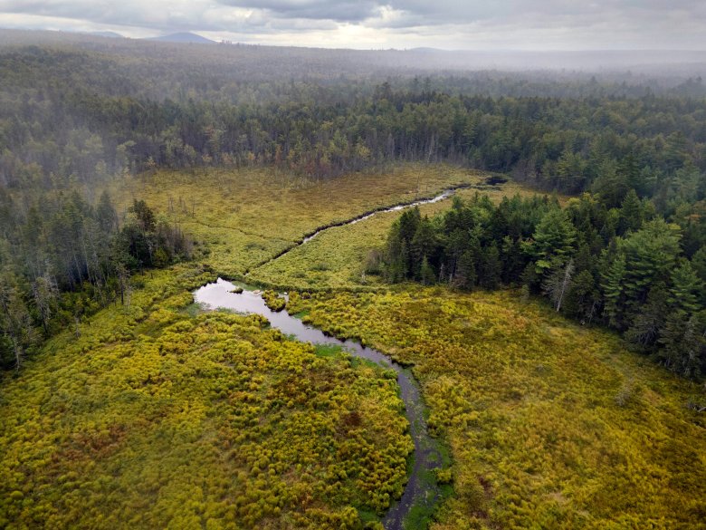 Maine environmental advocates call on state to turn climate goals into mandates