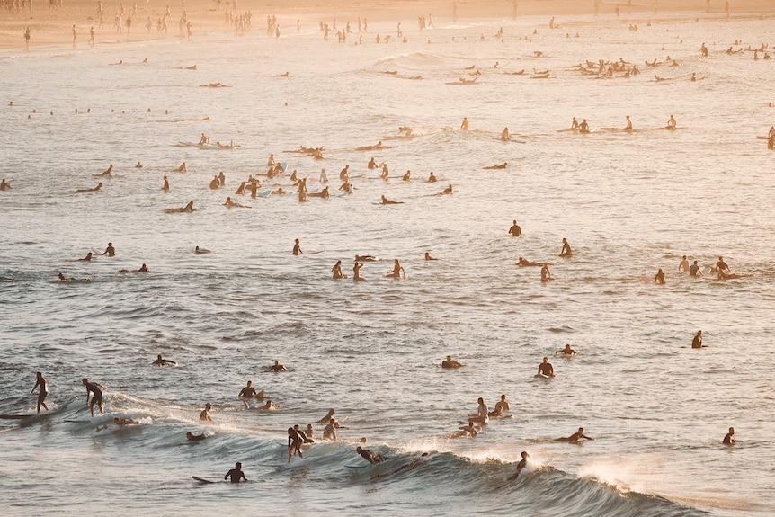 A view from above showing a large group of surfers in the water.