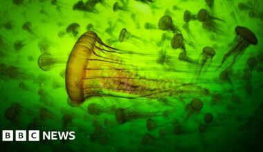 'World-renowned' photo exhibition returns to city - BBC