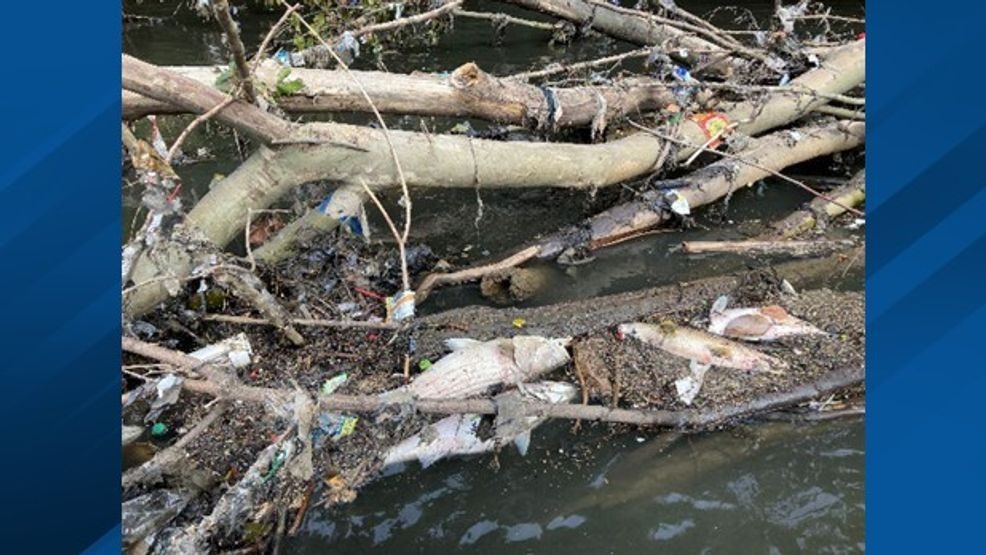 Photo by Chattahoochee Riverkeeper