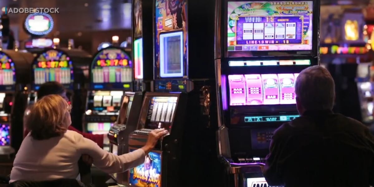 Rutgers: Hawaii is not ready to legalize gambling due to insufficient information