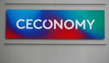 No Chinese subsidies involved in Ceconomy deal, JD.com says