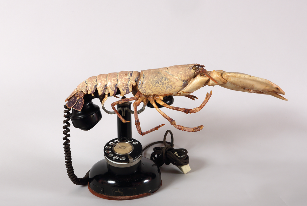 A lobster creatively positioned on a vintage rotary telephone.