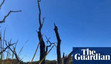 Water flows to parched NSW wetlands could be turned back on within weeks as drought fears loom | Murray-Darling Basin