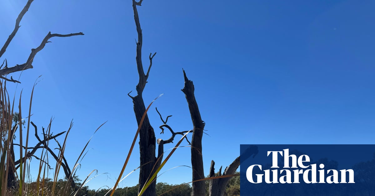 Water flows to parched NSW wetlands could be turned back on within weeks as drought fears loom | Murray-Darling Basin