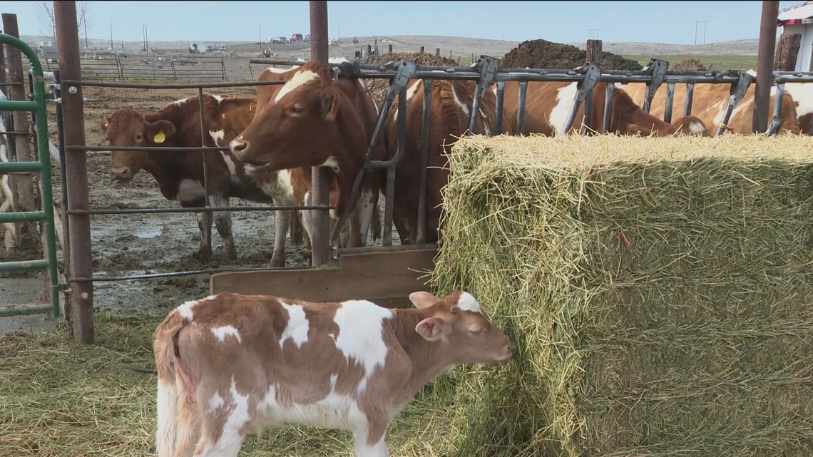 Inside AG: Idaho farmers and ranchers struggle with mental health