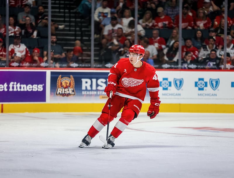 The Daily: Red Wings May Still Find Center at NHL Draft; Bear in Hunt at Memorial Cup
