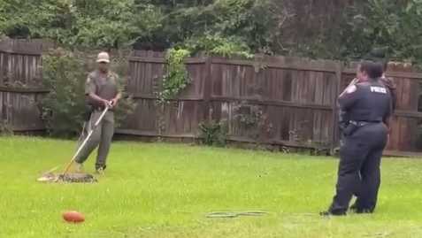 Alligator captured in Byram neighborhood backyard