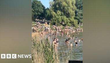 'Appalling behaviour' near swans in Hampstead Heath pond critcized - BBC
