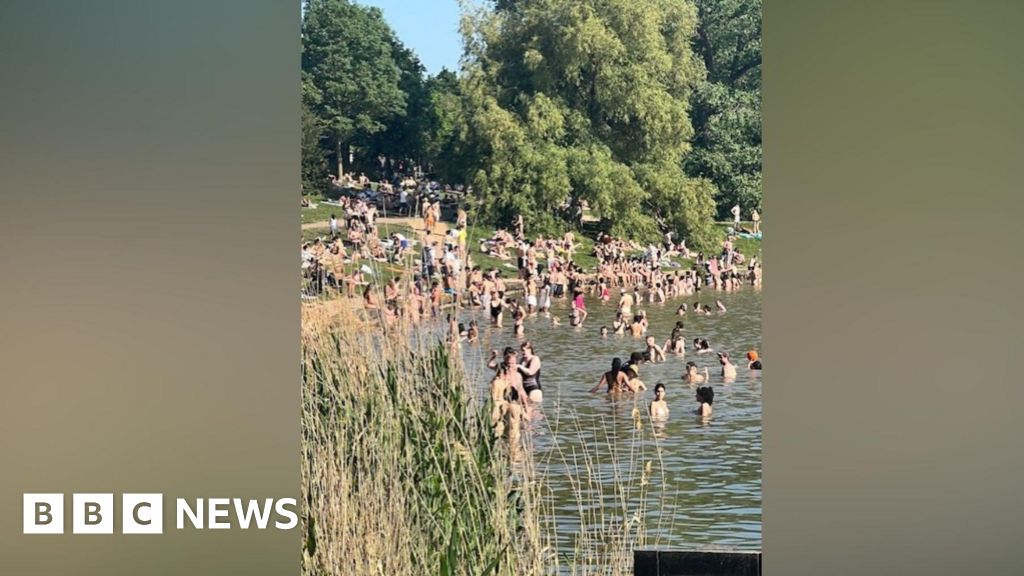 'Appalling behaviour' near swans in Hampstead Heath pond critcized - BBC