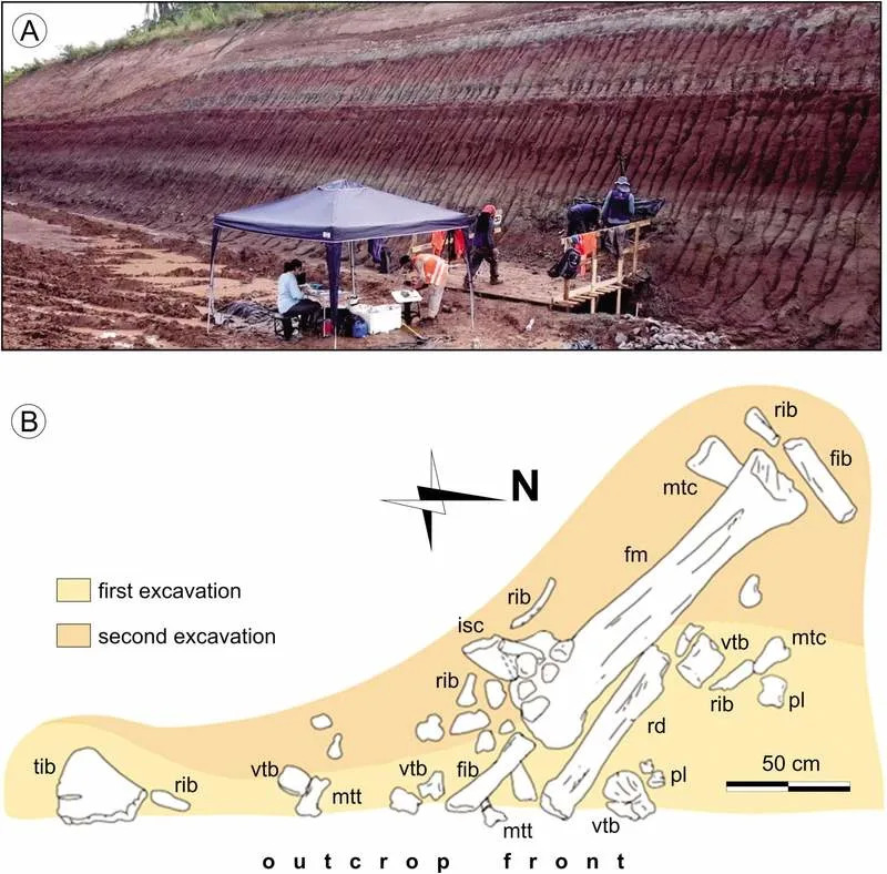 Outcrop view and spatial distribution of fossils in the site. A, Photograph of the front of the outcrop. B, Horizontal distribution of in situ fossils as they were discovered. Abbreviations: fib, fibula; fm, femur; isc, ischium; mtc, metacarpal; mtt, metatarsal; pl, phalanx; rd, radius; rib, rib; tib, tibia; vtb, vertebra. (CREDIT: Journal of Systematic Palaeontology)