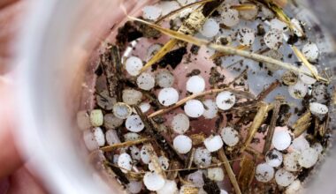 Charleston Waterkeeper intends to sue over plastic pollution