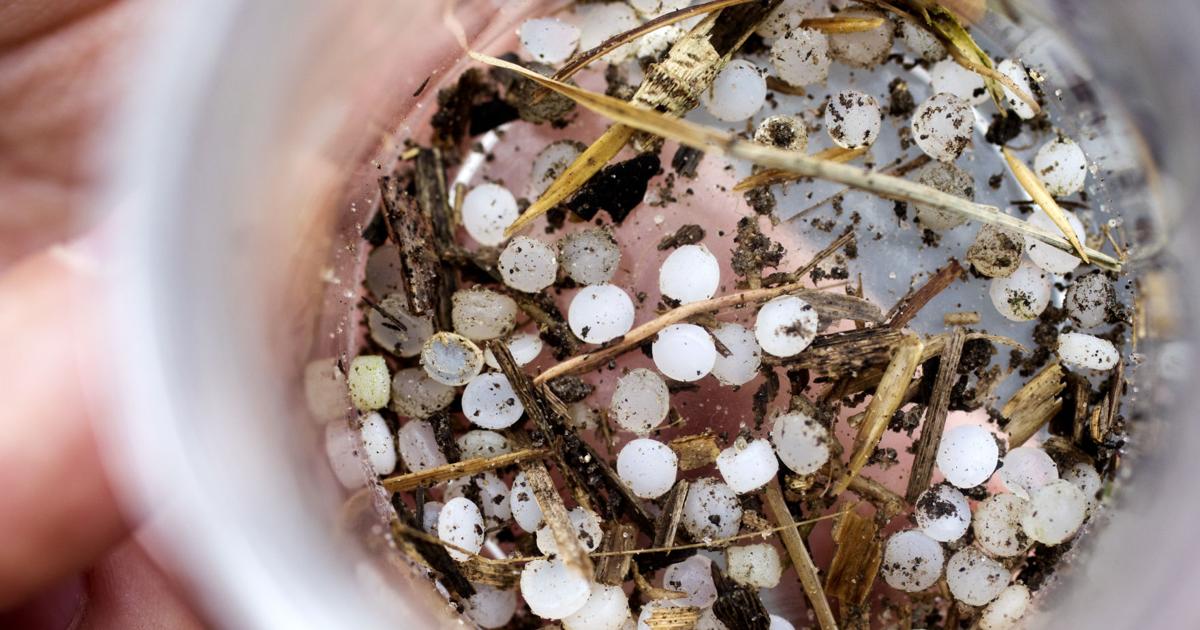 Charleston Waterkeeper intends to sue over plastic pollution