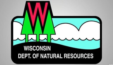 DNR highlights conservation efforts for endangered species across Wisconsin | News