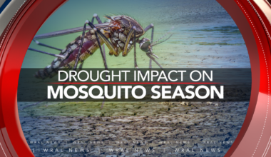 The drought brings fewer mosquitoes, but not fewer risks :: WRAL.com