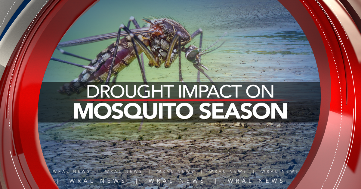 The drought brings fewer mosquitoes, but not fewer risks :: WRAL.com
