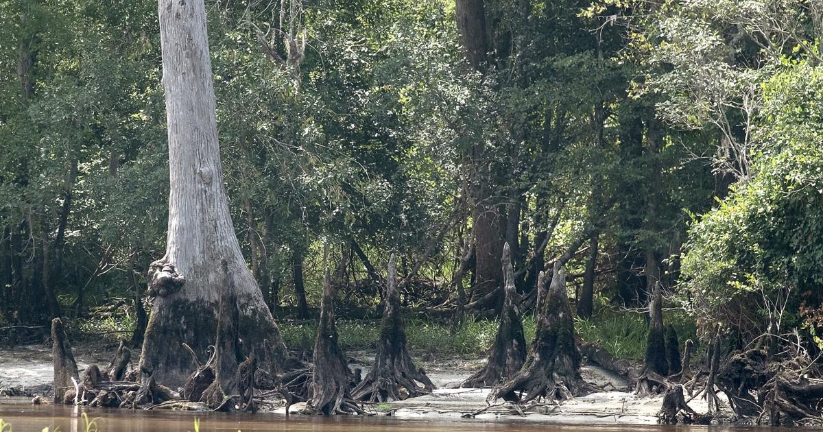 SC Drought Committee upgrades drought to severe status